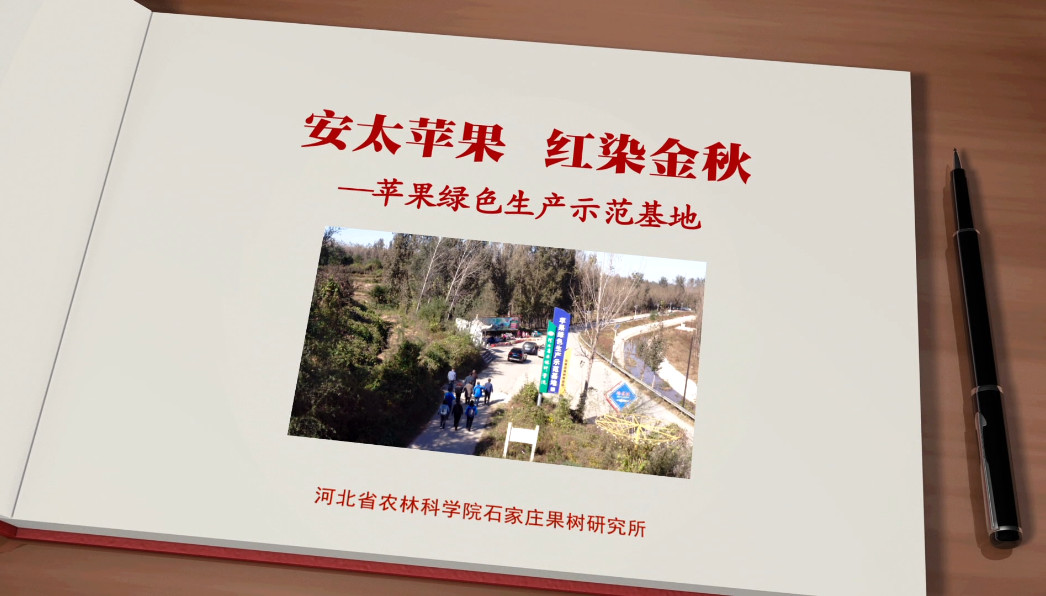 凯发官网首页